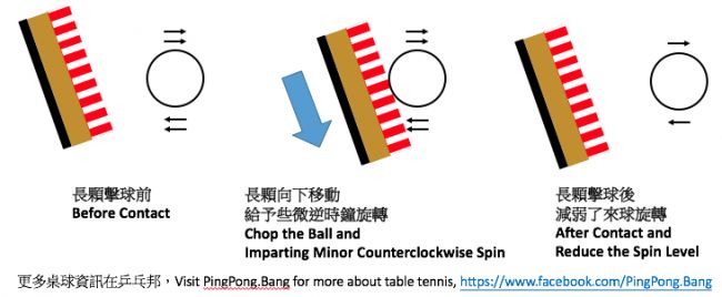 Long pimples player chops backward spin ball
