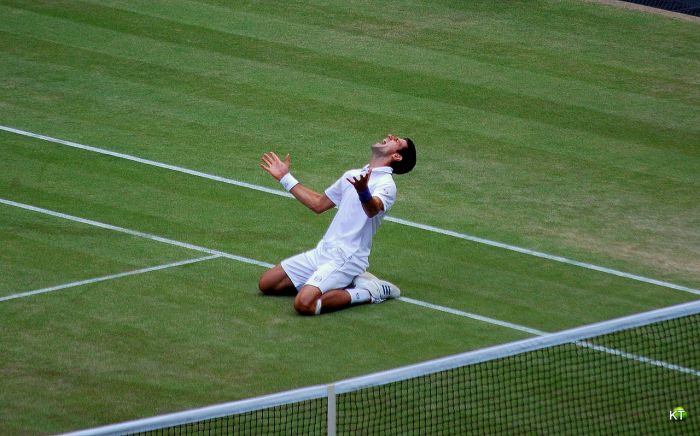 2011 Djokovic celebration