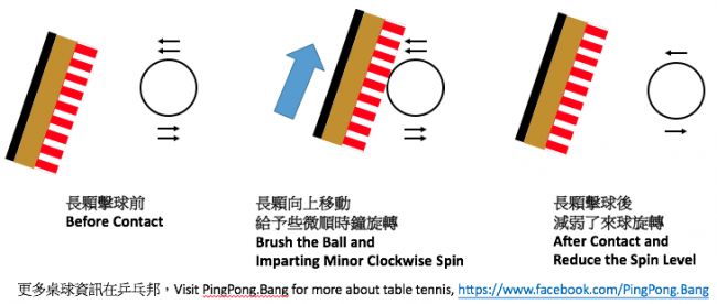 Long pimples player brush topspin ball
