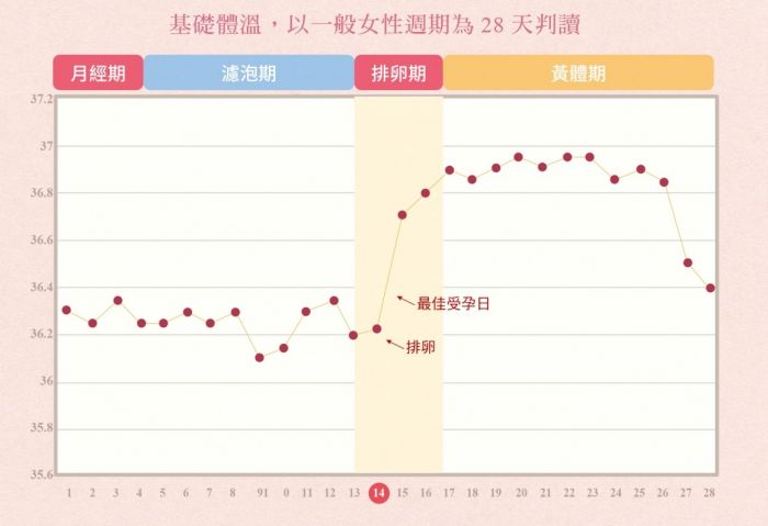 黄体素(progesterone)   在此期间逐渐上升,同时会使体温随之升高