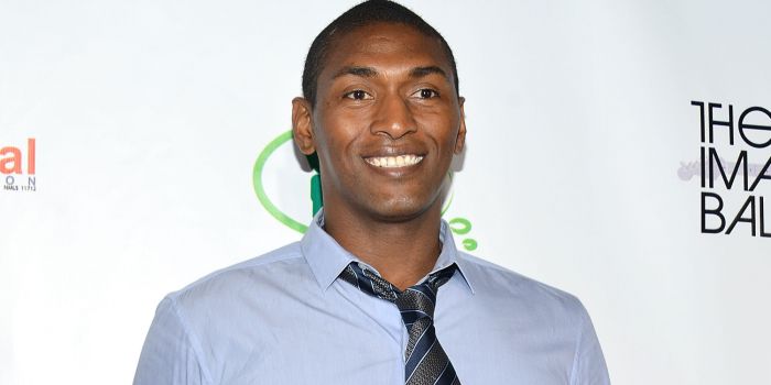 “Metta World Peace 大學”的图片搜索结果